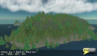 Water pines for rent